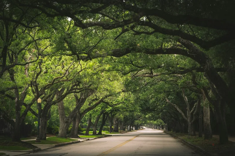 Bridgeland, Cypress: lakeside homes and walking trails