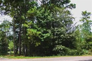The property Marcos P reviewed: Seller · Live Oak Estates Drive